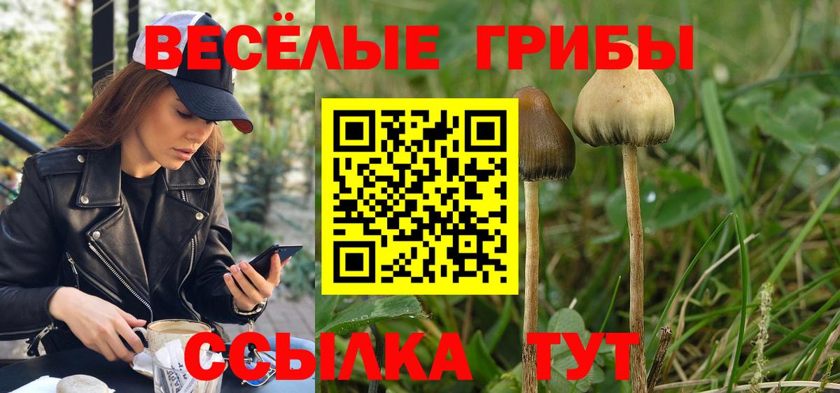 Галлюциногенные грибы прущие грибы  Вход с VPN  Кузнецк 